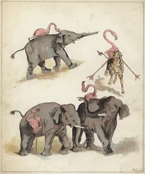 Elephants and Flamingoes